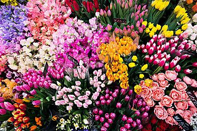 三岛一八和风间准之子《铁拳8》风间仁预告